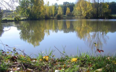 Découvrez le Carpodrome de l’Ile sauvage de Montans