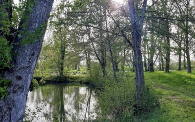 Les bienfaits de la connexion avec la nature