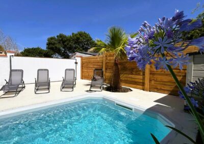 Gîte familial avec piscine et palmier près d'Albi