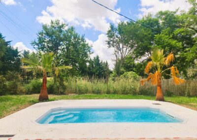 Piscine et jacuzzi entourée de palmiers et champs dans un gîte tarnais